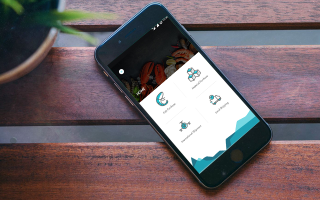 Lifna Exporters business application 