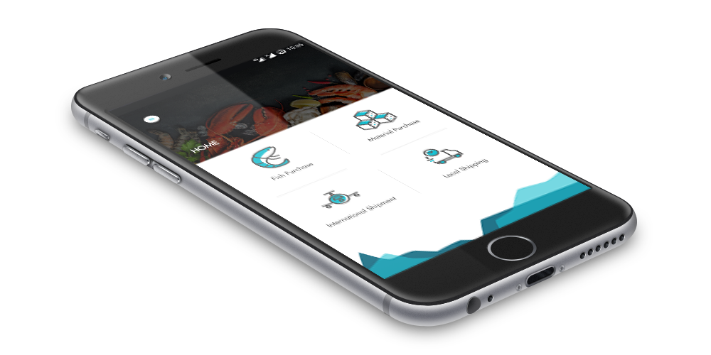 Lifna Exporters business application